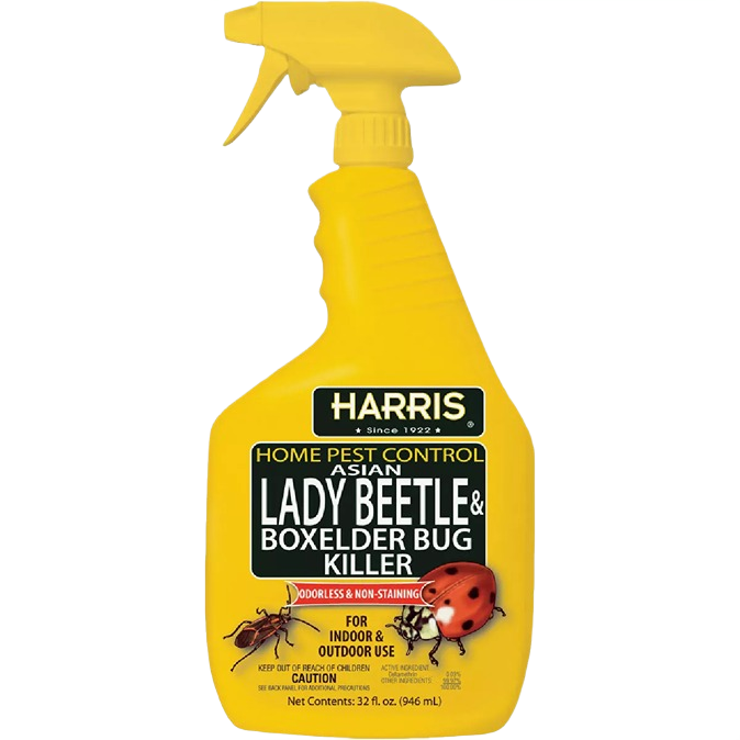 Yellow trigger spray bottle of insect control for lady beetles and boxelder bugs in lawn and garden collections