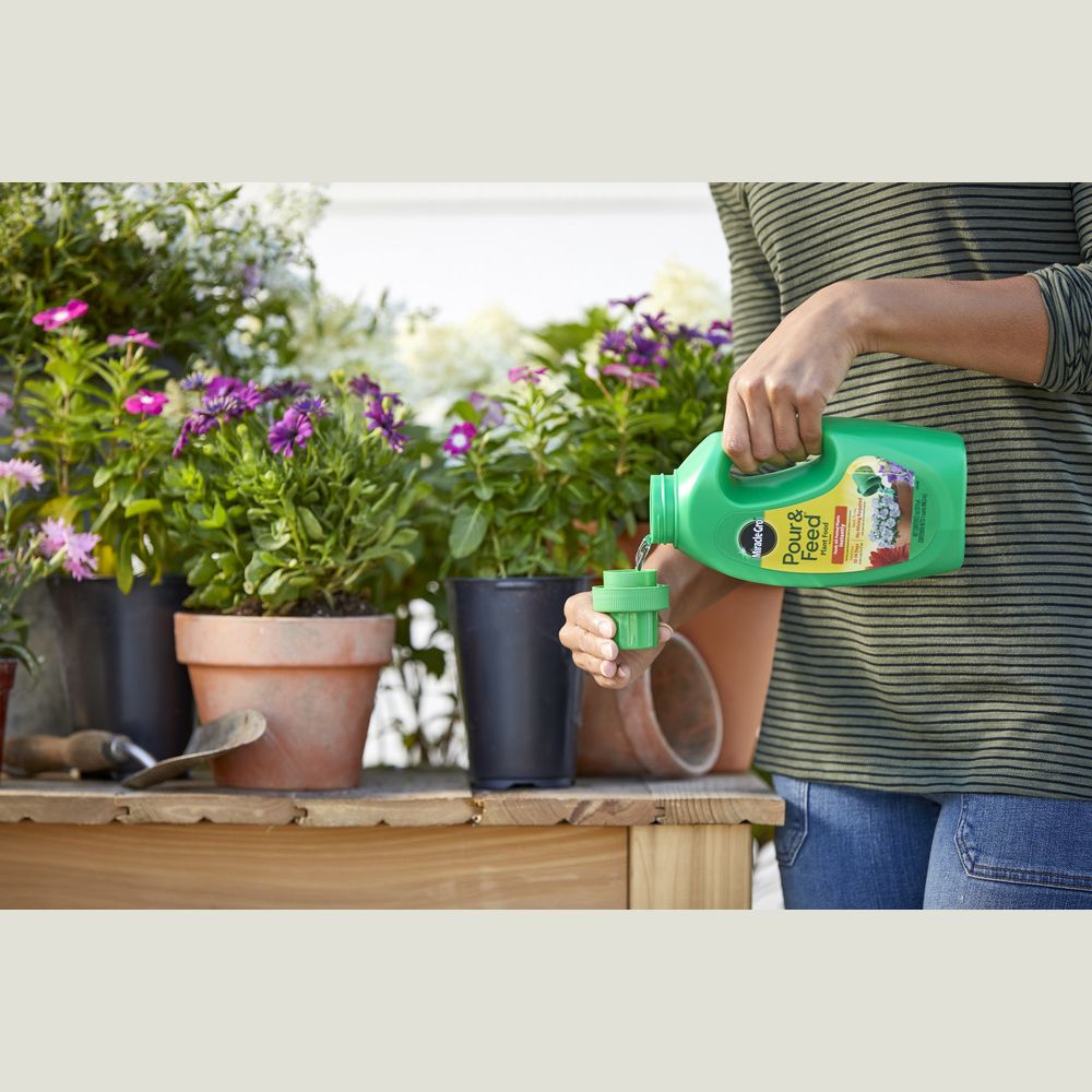 Green bottle of liquid plant food being poured into a measuring cup near potted flowering plants in garden care collection