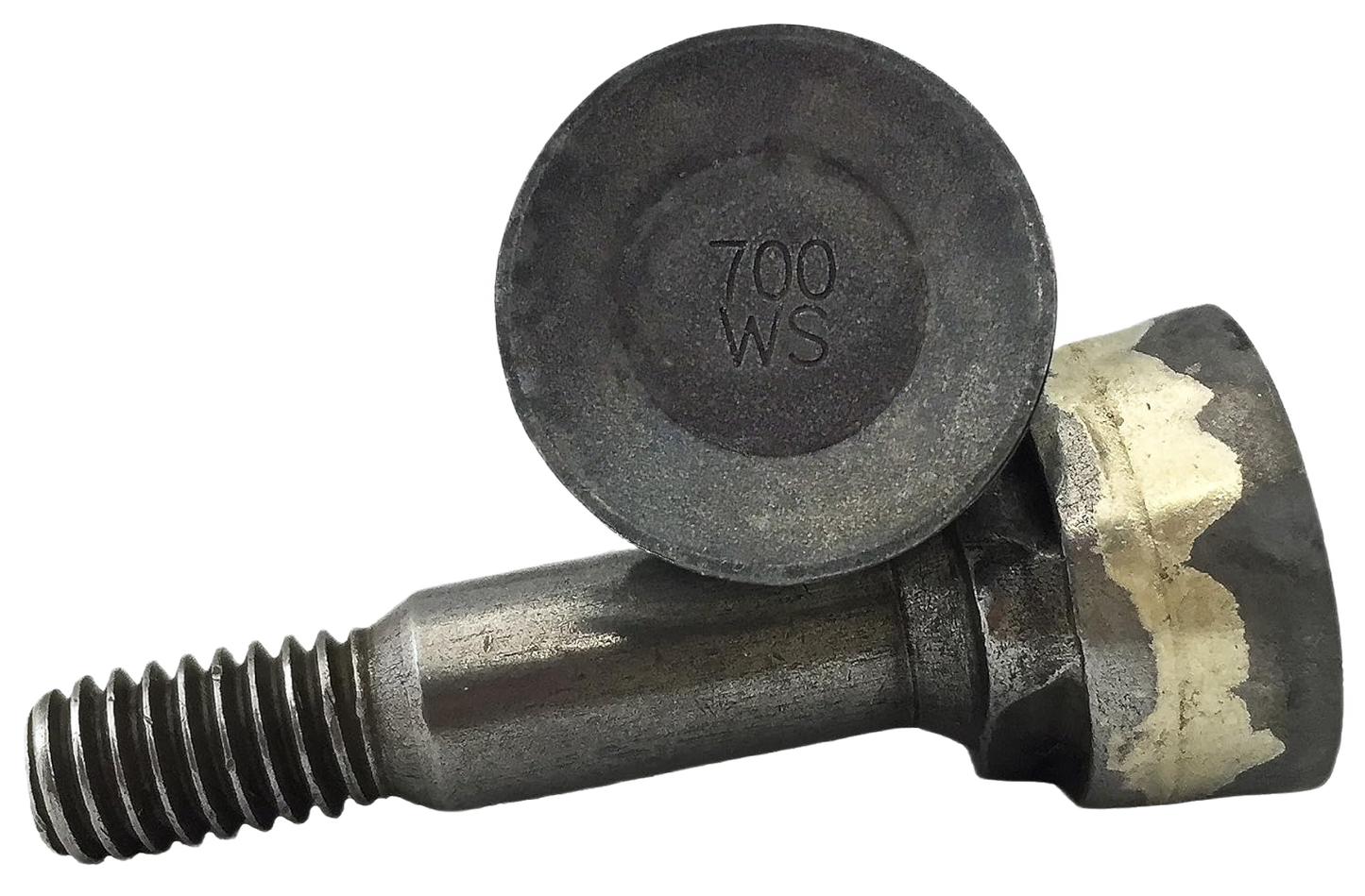 Close-up of a durable cutting tooth and bolt for stump grinder, designed for reliable performance in Parts & Lubricants and All Products collections.