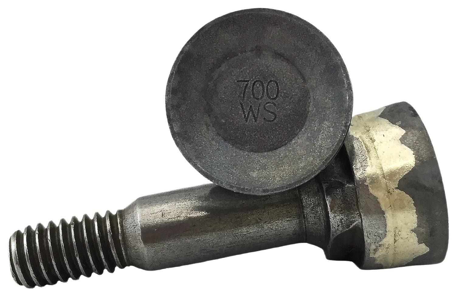 Close-up of a durable cutting tooth and bolt for stump grinder, designed for reliable performance in Parts & Lubricants and All Products collections.