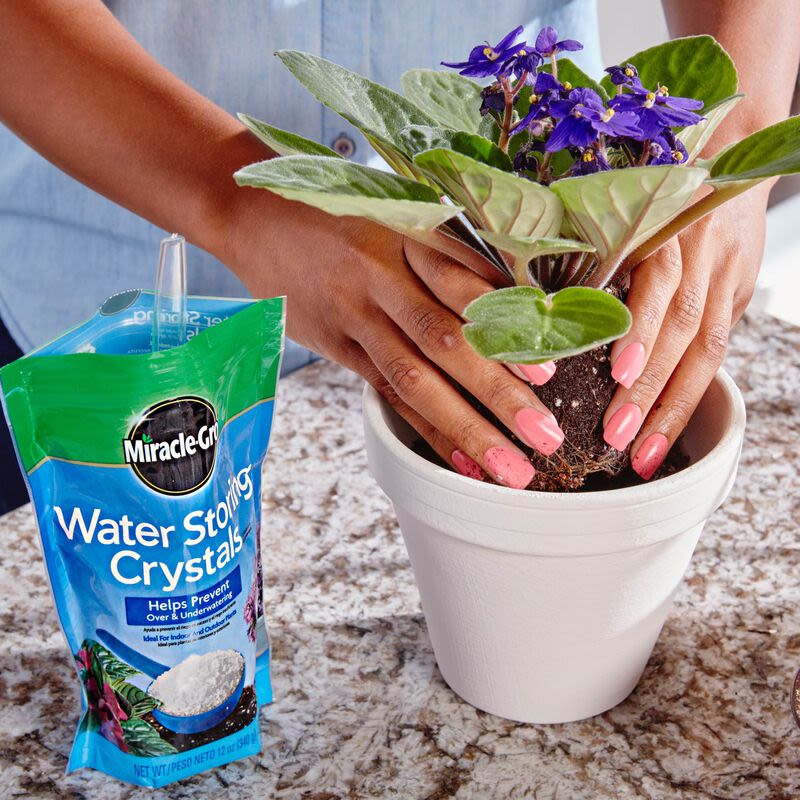 Hands planting flowering violet with green leaves into white ceramic pot on granite countertop next to blue-green package