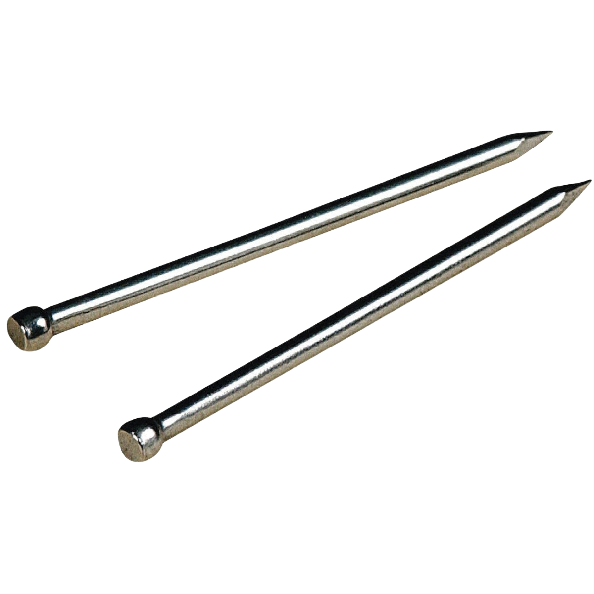Two stainless steel brad nails with round heads for precise woodworking and home improvement projects in fasteners collection