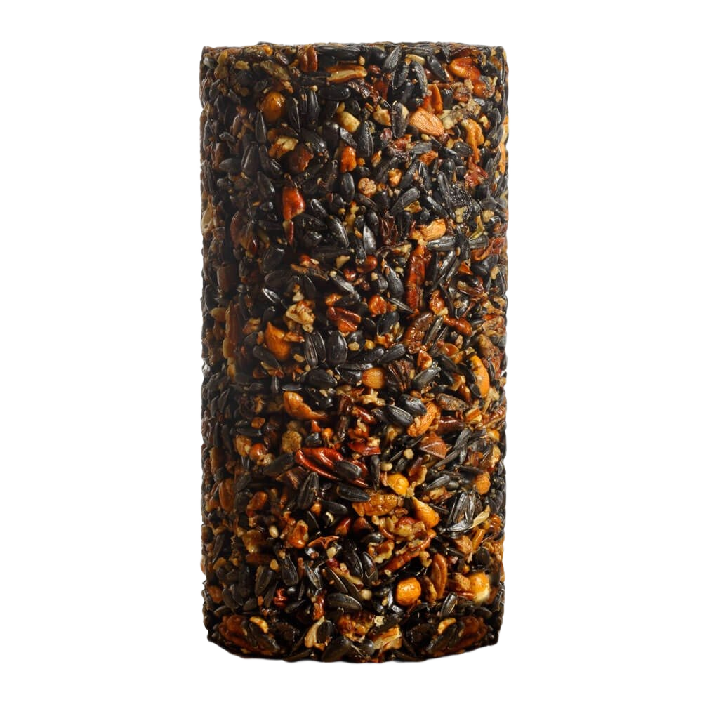 Compact cylinder of assorted seeds and nuts designed to attract woodpeckers for outdoor feeding