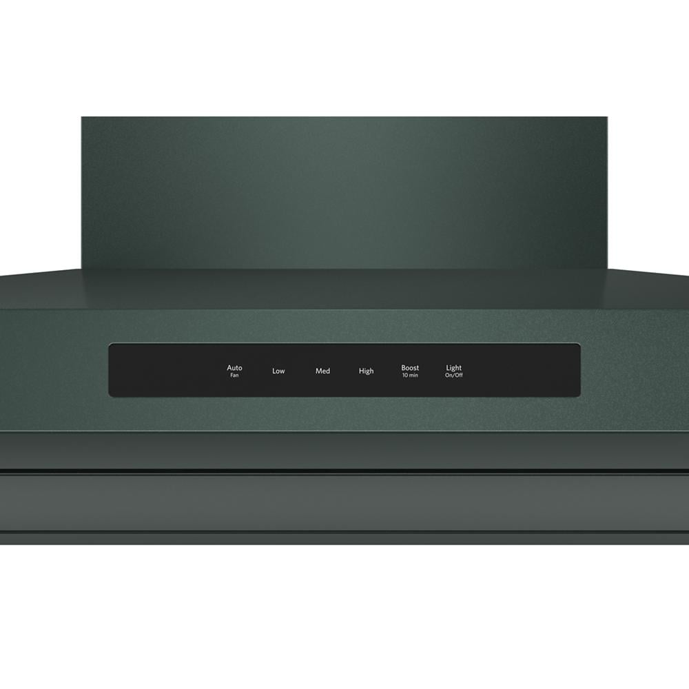 Close-up of black control panel on dark green wall-mount canopy hood in range hoods and kitchen appliances collection