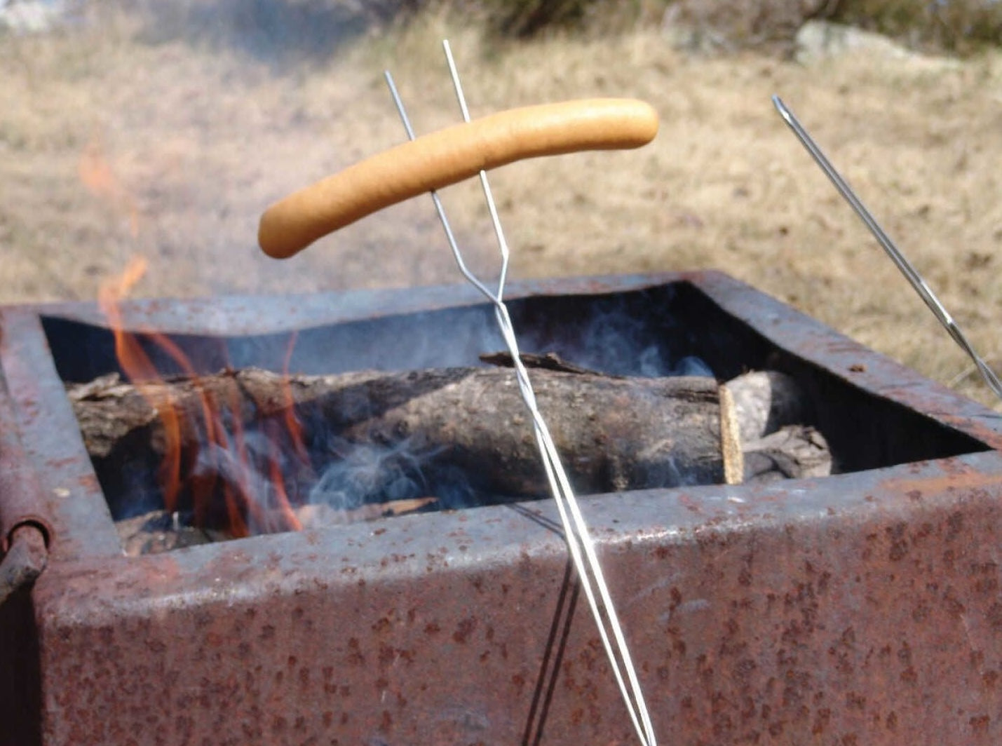 Nickel-plated wire roasting forks holding hot dog over open fire for outdoor grilling and campfire cooking
