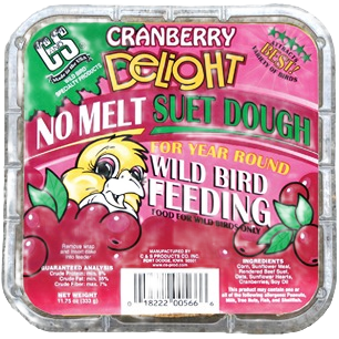 Square container of cranberry flavored no melt suet dough designed for year-round wild bird feeding