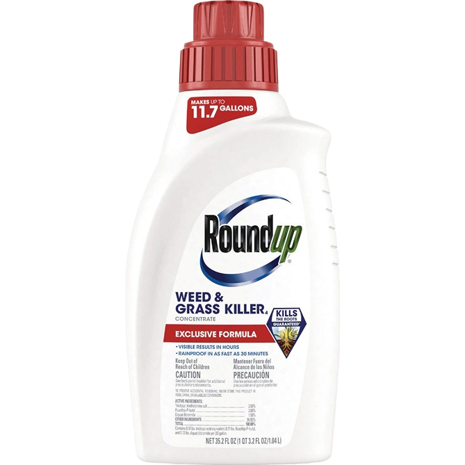 White plastic container of Roundup concentrate weed and grass killer with red cap in Lawn Care collection