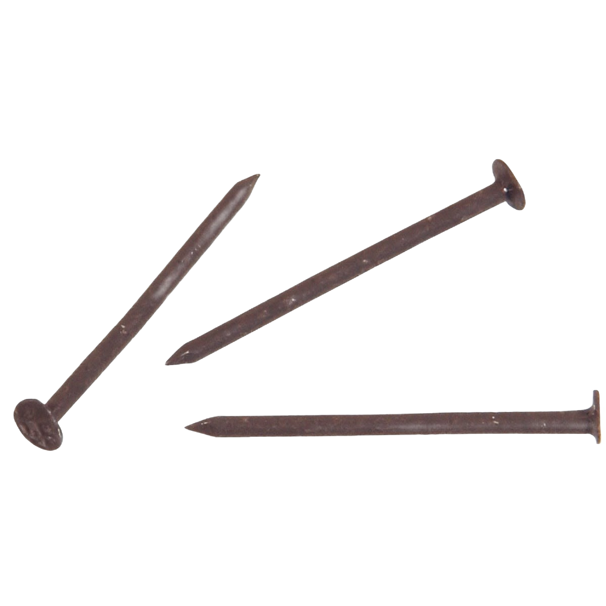 Three brown stainless steel trim nails with flat heads for hardware and fasteners under $50 collections