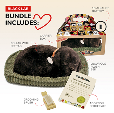 Sleeping Black Lab plush companion with plush bed, grooming brush, carrier box, and adoption certificate in toys collection