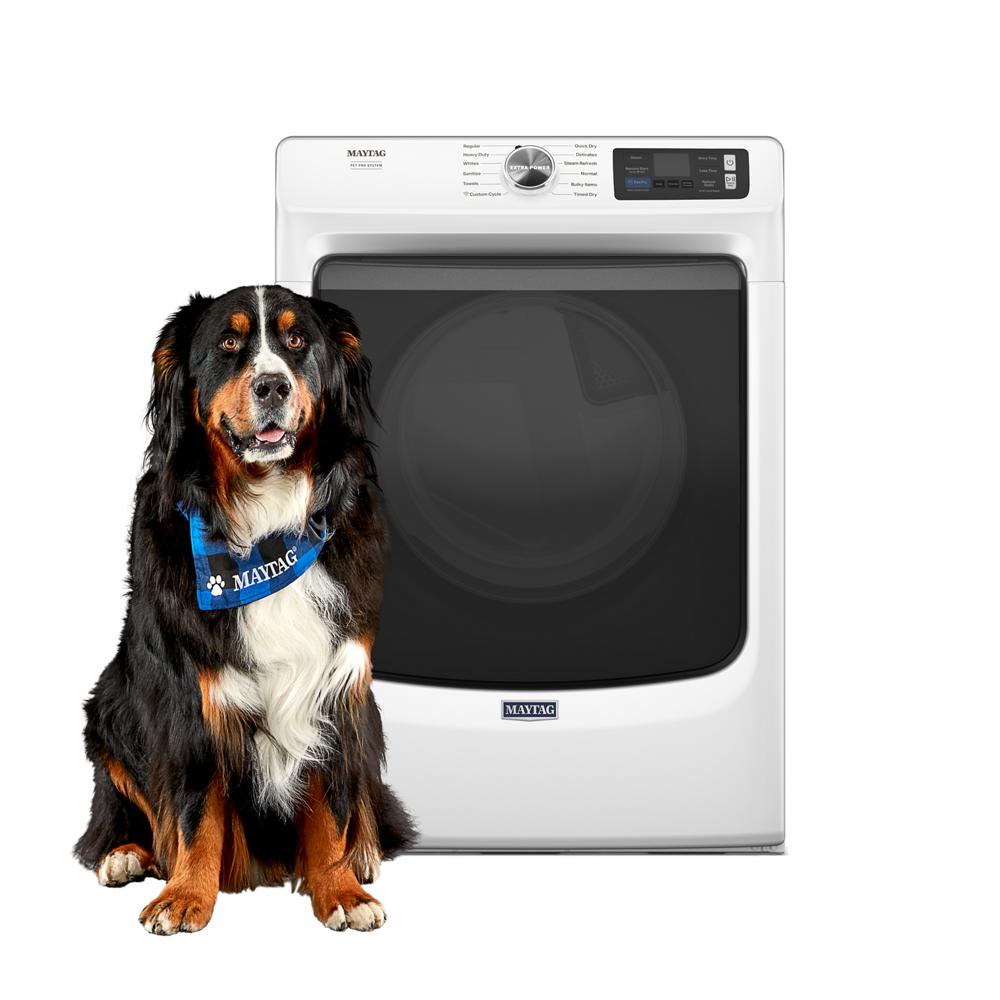 Large black and brown dog sitting next to white front-load gas dryer from appliances collection