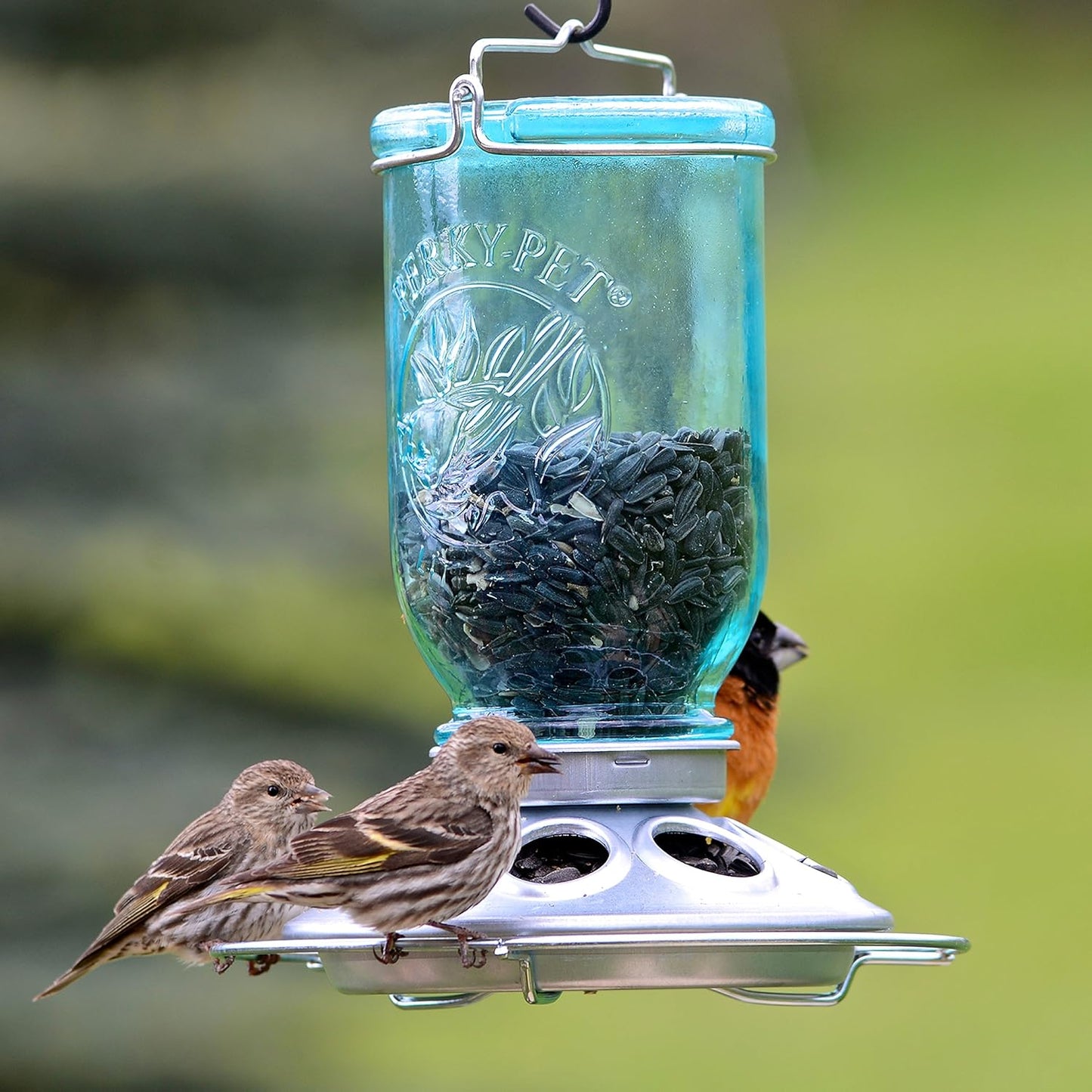 Perky-Pet Mason Blue Glass Mason Jar Bird Feeder, 8 in.
