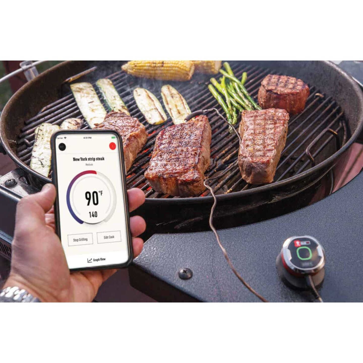 Weber iGrill Mini Thermometer