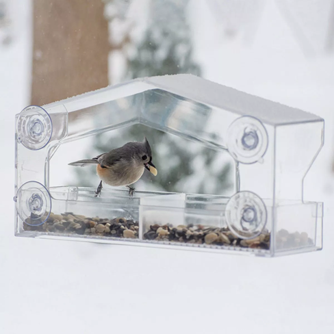 Transparent plastic window bird feeder with suction cups, angled roof, and divided seed compartments holding various bird seeds