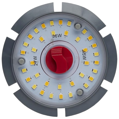 Selectable LED bulb with multiple watt settings and visible LED diodes for customizable home lighting solutions