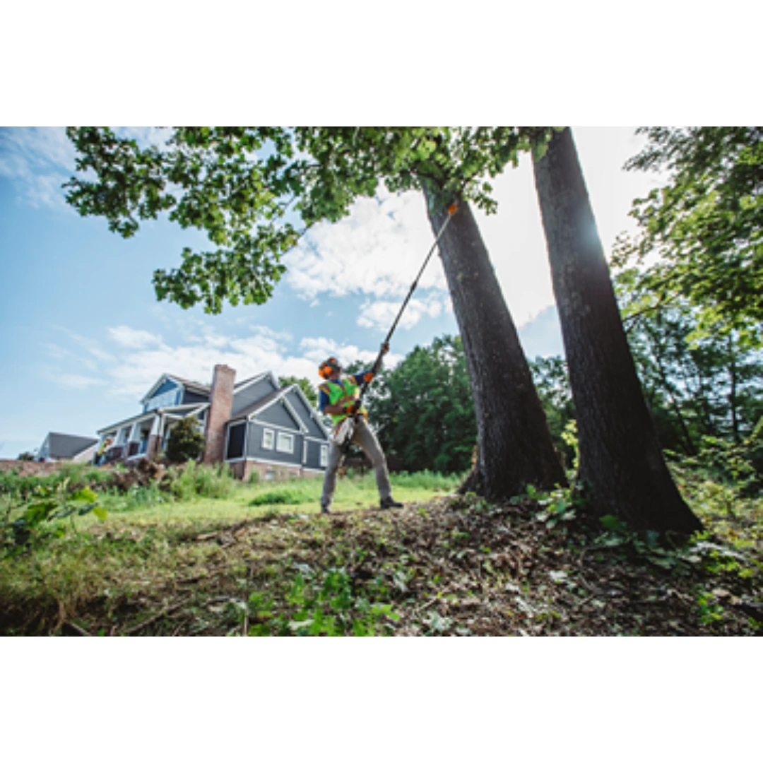 Person using battery-powered extendable pole pruner to trim high branches near a house for home improvement tasks
