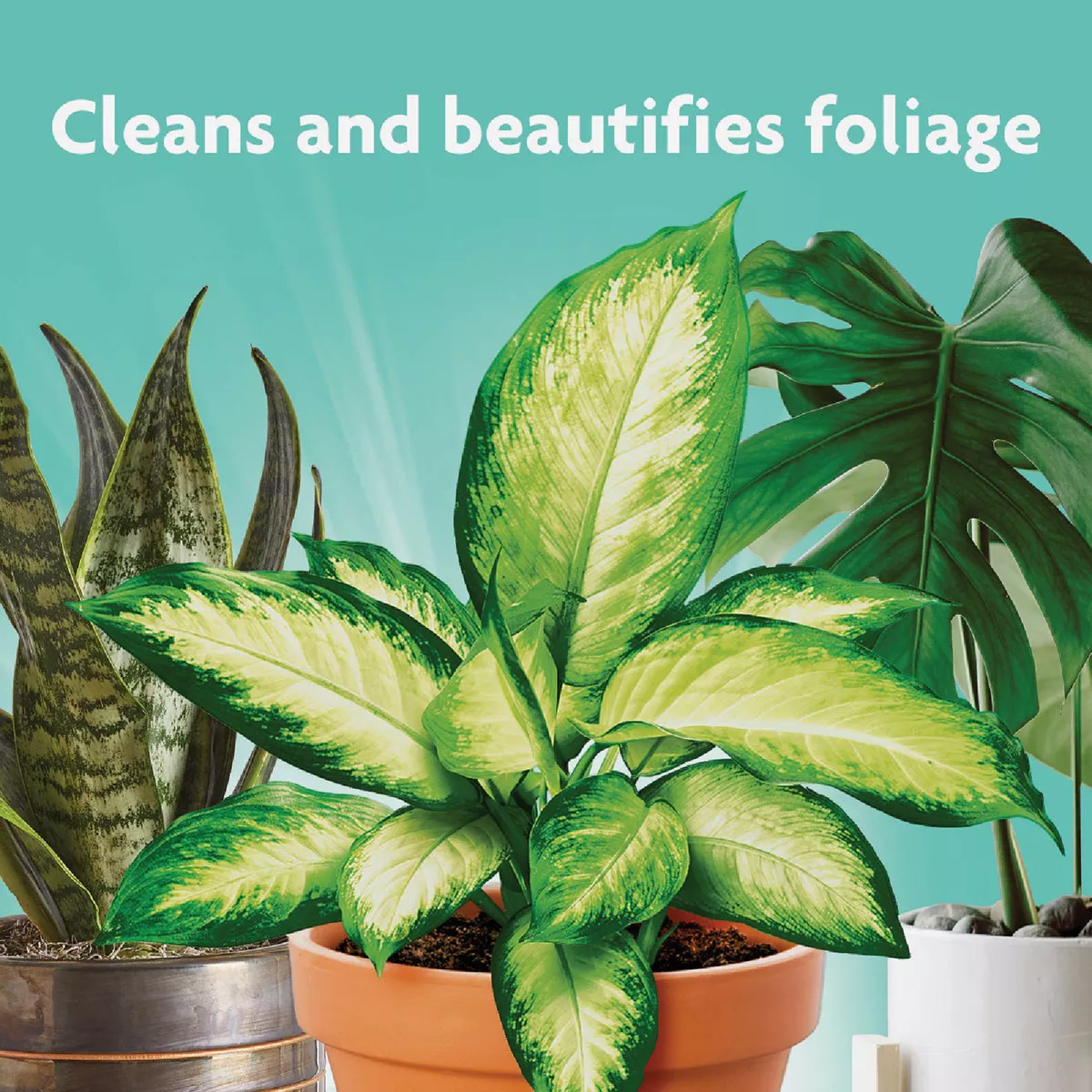 Miracle-Gro 8 Oz. Liquid Leaf Shine