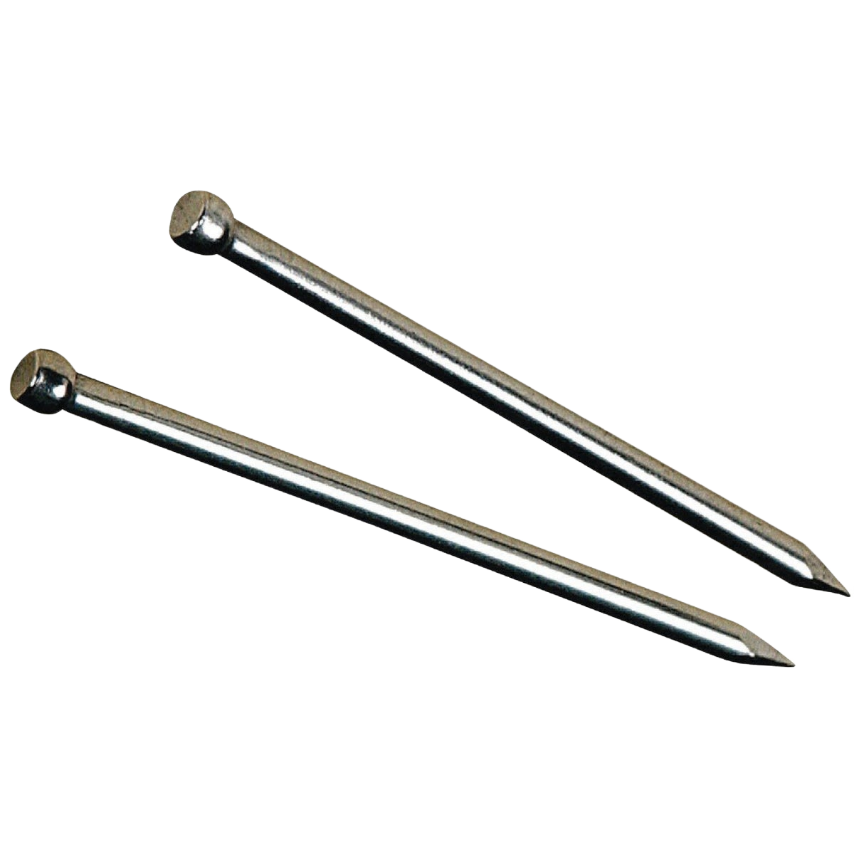 Two galvanized wire brads with smooth shanks and flat heads for hardware and home improvement projects