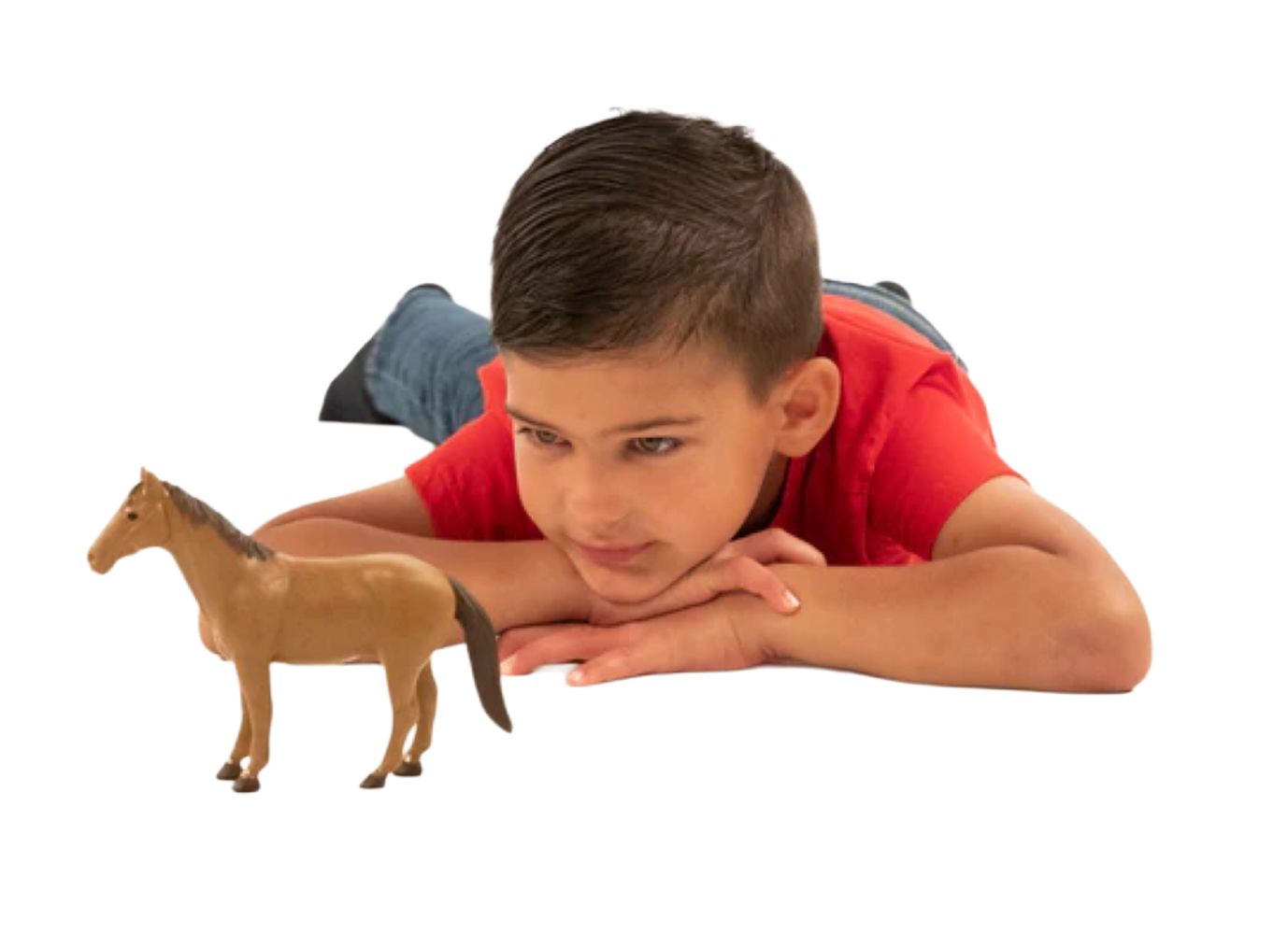 Young boy in red shirt lying down watching a brown toy horse from Bruder Toys collection.