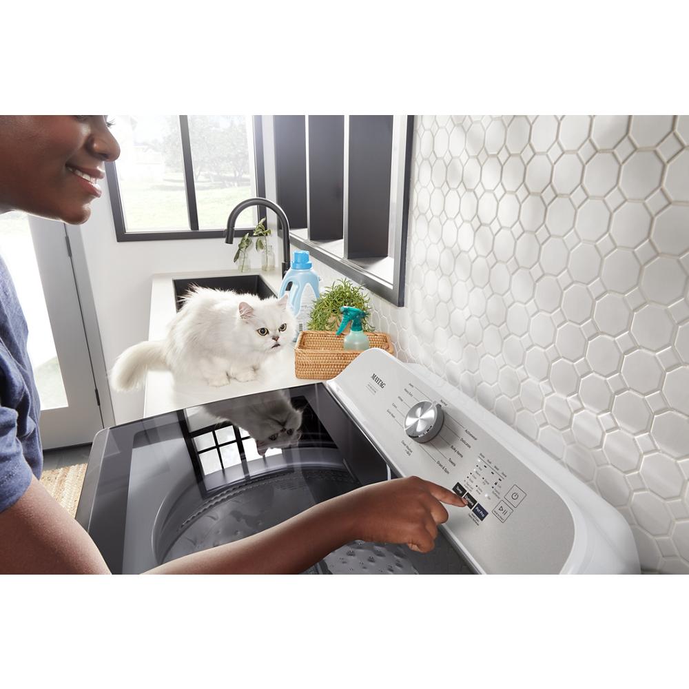 Person using control panel on top load electric dryer with white cat on laundry counter in bright room
