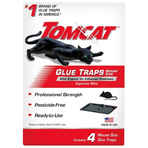 Tomcat glue traps in mouse size with pesticide-free adhesive and enhanced stickiness for pest control under $50 collections