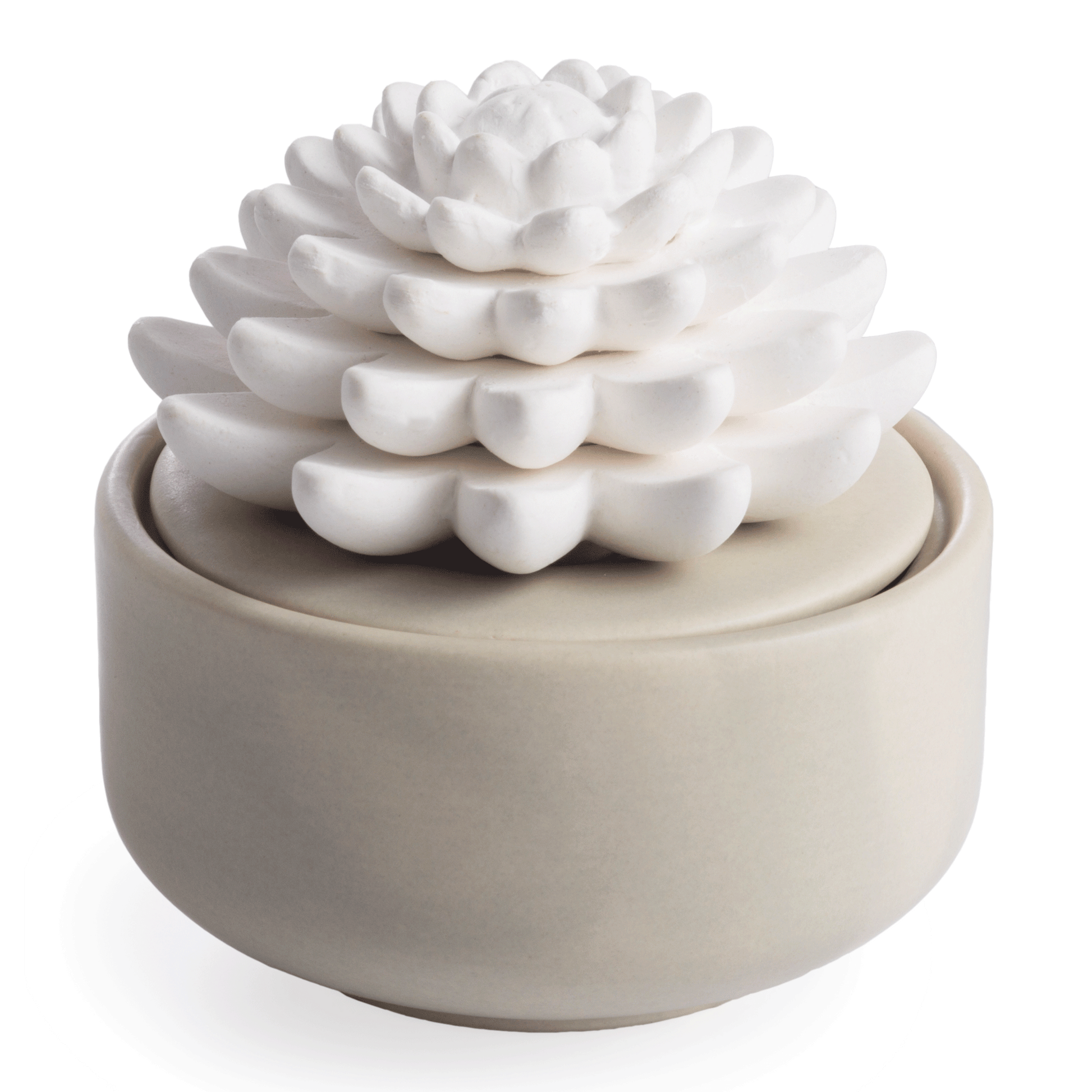 Matte gray ceramic dish with a white porcelain succulent diffuser for home decor and under $50 collections