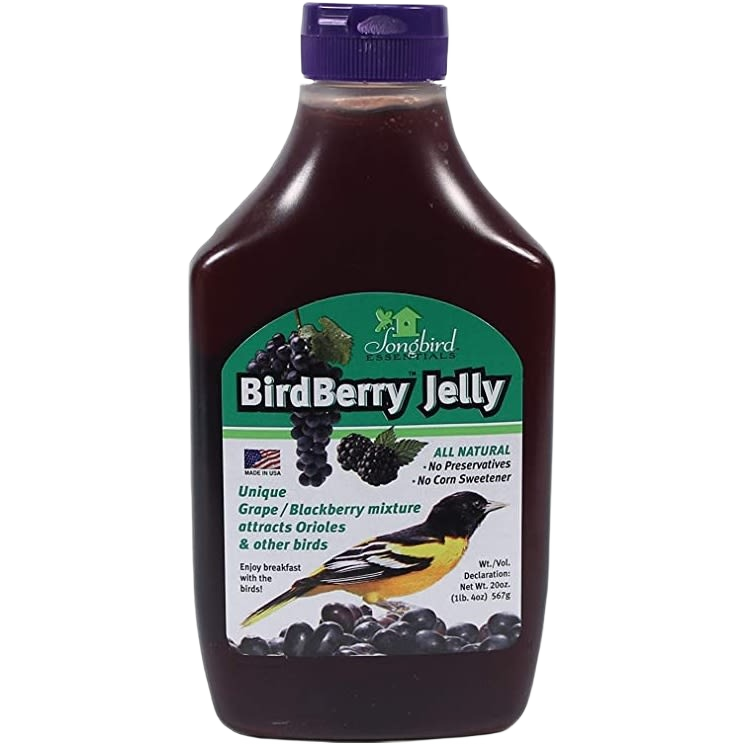 Plastic squeeze bottle of all-natural BirdBerry Jelly with grape and blackberry blend for attracting orioles and birds