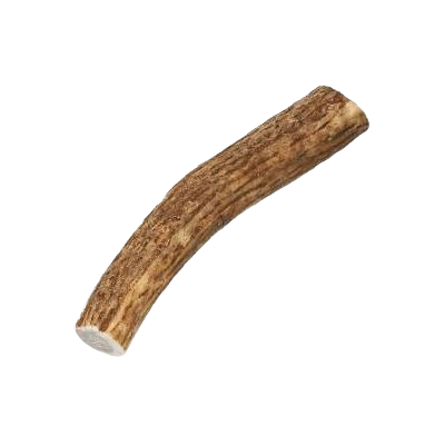Natural small elk antler dog chew treat for durable pet entertainment in dog food and supplies collections under $25