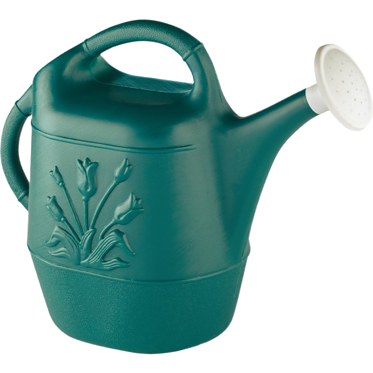 Hunter green poly watering can with decorative floral design for lawn and garden watering under $50 tools
