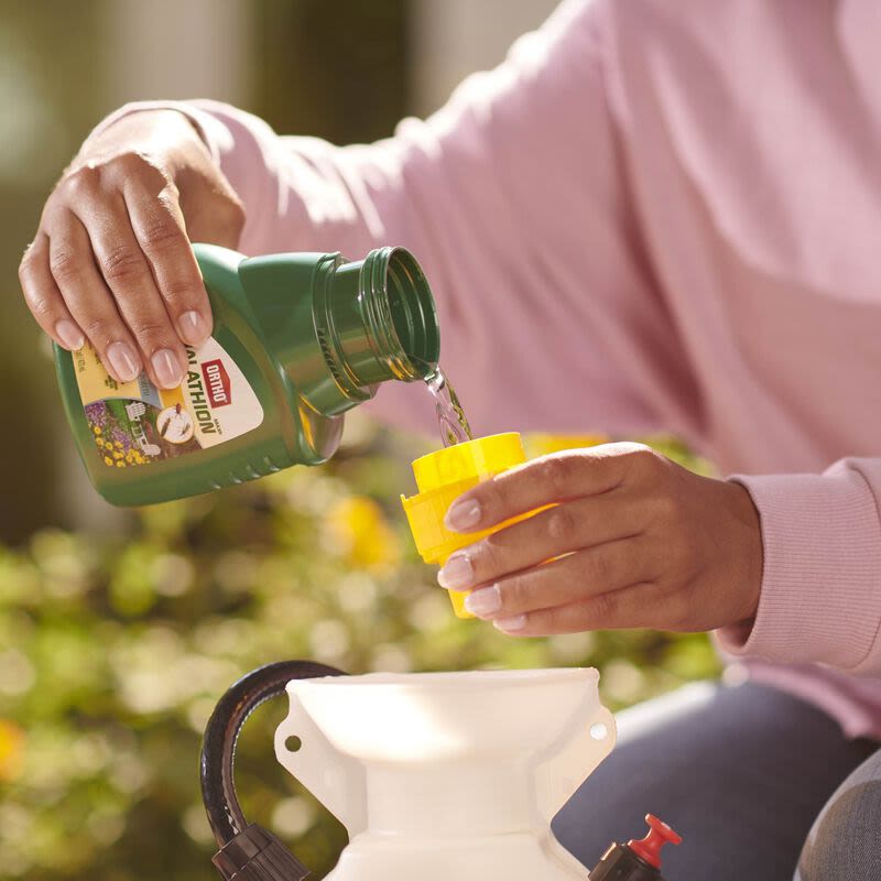 Person pouring green insect spray concentrate into a yellow measuring cup outdoors for garden pest control use