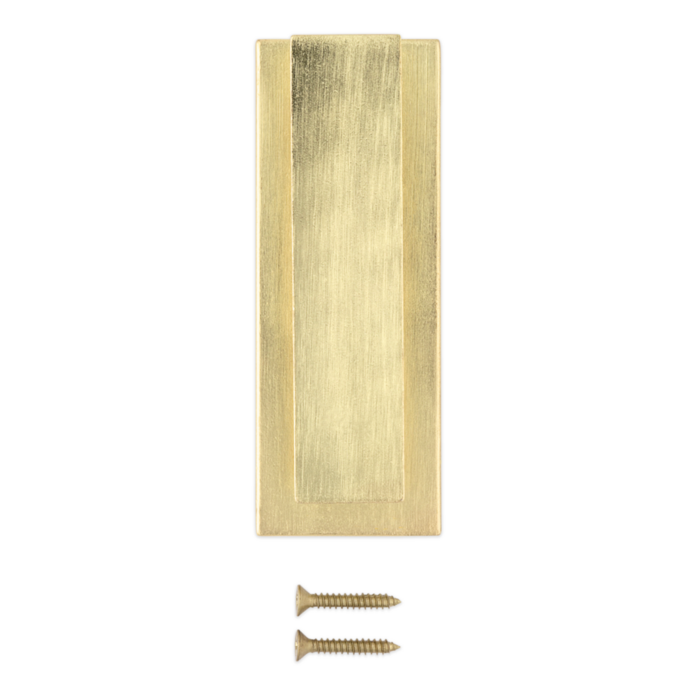 Brushed gold zinc door plate with two matching screws for door accessories and home improvement projects