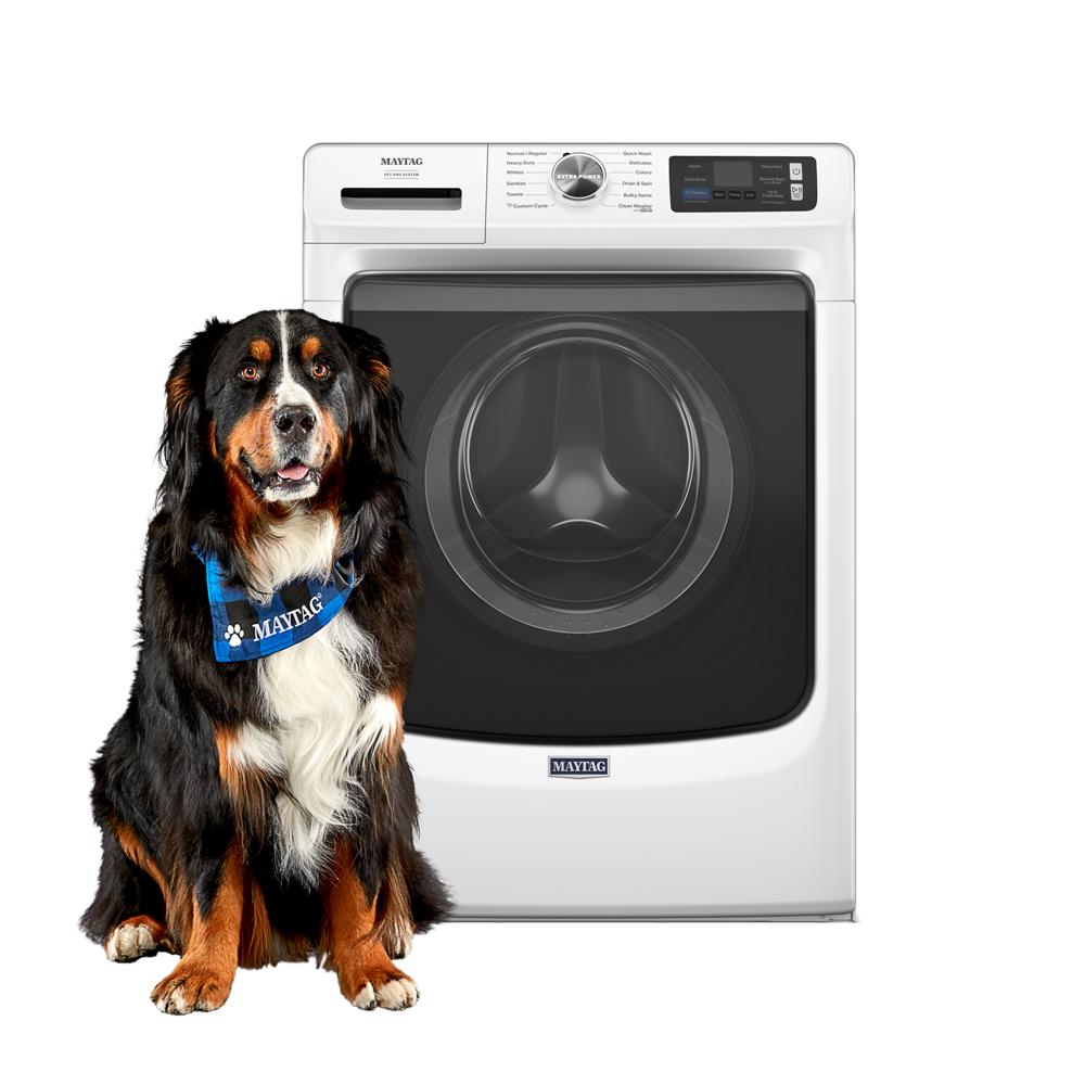 White front load washer with digital controls and large door alongside seated dog wearing branded bandana