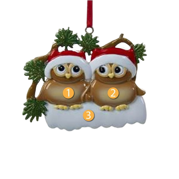 Two brown owls wearing red Santa hats perched on a snowy branch with green pine needles ornament