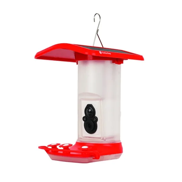 FeatherSnap Camera Hummingbird Feeder