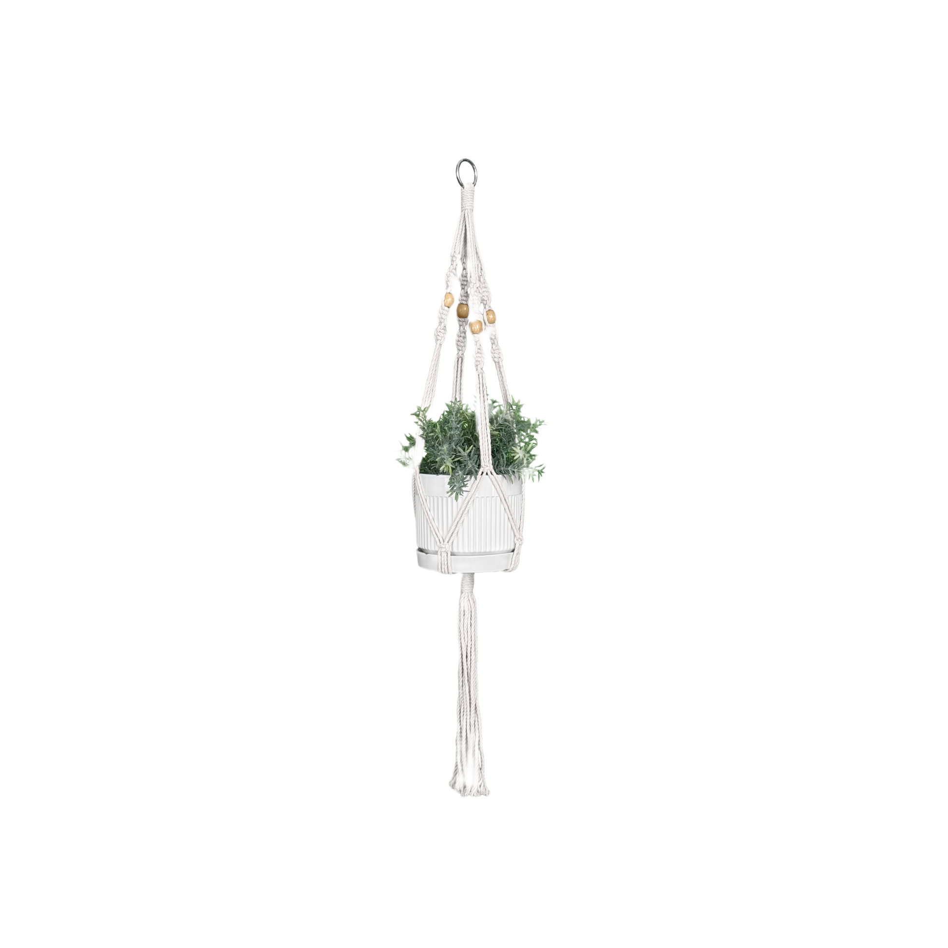 Cream-colored medium macrame plant hanger with wooden beads holding a white pot with green foliage