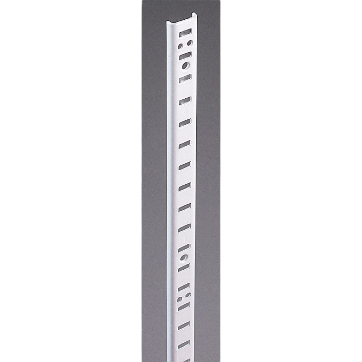 Zinc-plated steel pilaster shelf standard for adjustable shelving in Storage & Organization and Shelving Accessories collections