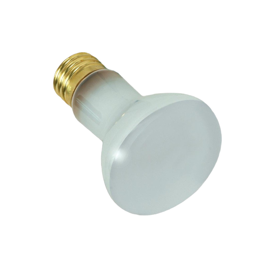 Satco 100W R20 Frosted Incandescent Light Bulb – Hartville Hardware