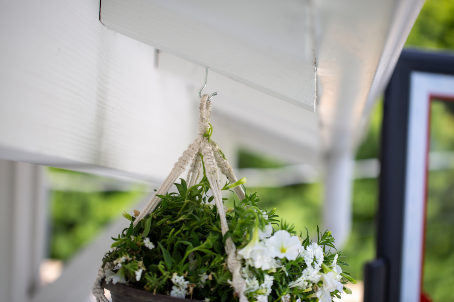 Zinc finish ceiling hook holding a hanging plant basket for outdoor home improvement and hardware projects