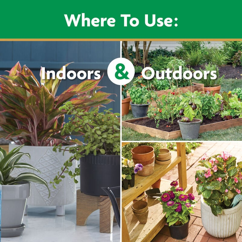 Indoor and outdoor plants including flowers, vegetables, and houseplants for effective all-purpose plant care and fertilizer use