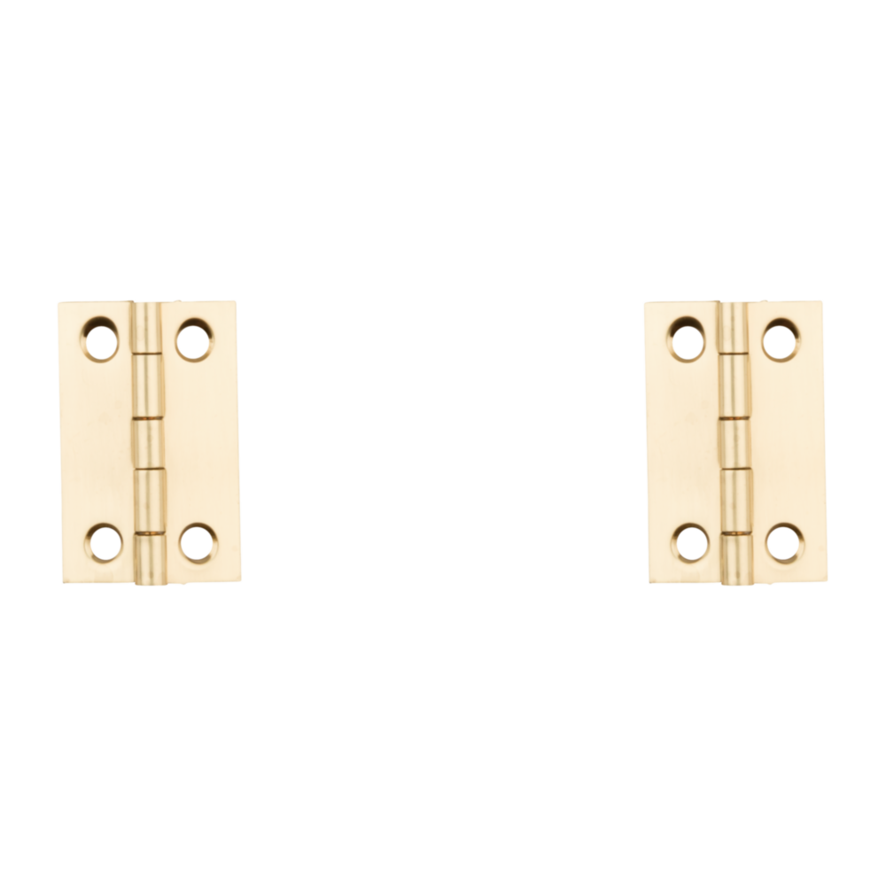 Pair of medium clear coat brass hinges with screws for doors and home improvement under $50 hardware collection