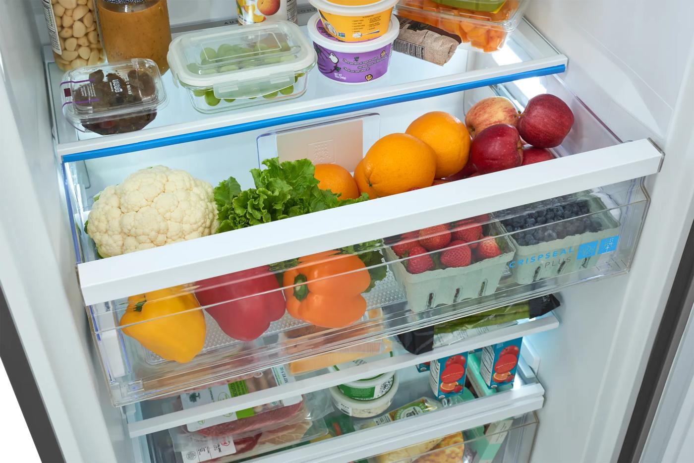19 Cu. Ft. Single-Door Refrigerator