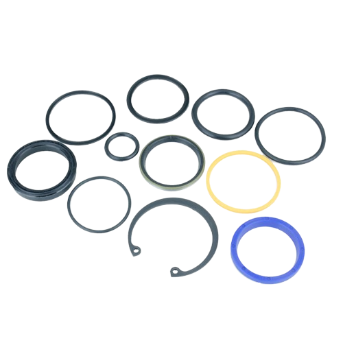 Set of assorted seals and rings for hydraulic cylinder repair, suitable for automotive and mechanic tools collections