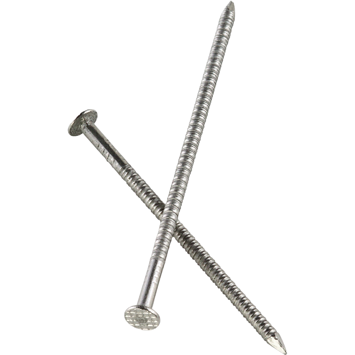 Two stainless steel siding nails with textured flat heads for durable outdoor fastening in hardware and fasteners collection