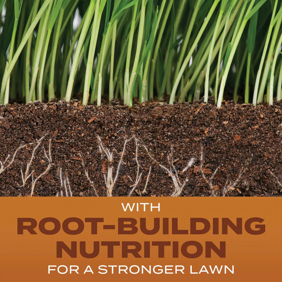 Scotts Turf Builder 2.4 Lb. 200 Sq. Ft. High Traffic Mix Grass Seed, Fertilizer, and Soil Improver Combination
