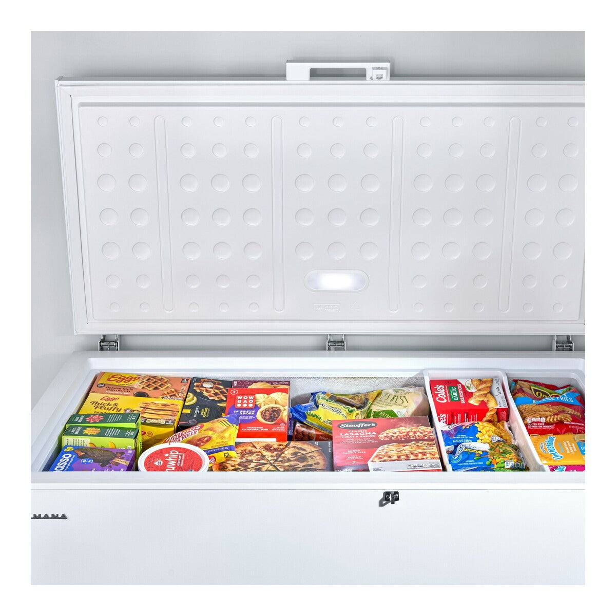 Amana® 16 Cu. Ft. Chest Freezer with Up-Front Temperature Control System
