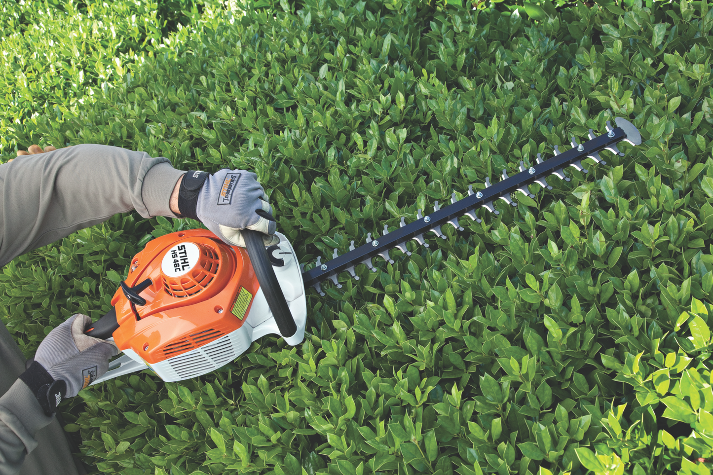 Orange and white handheld hedge trimmer in use, cutting dense green shrubbery for home improvement tasks