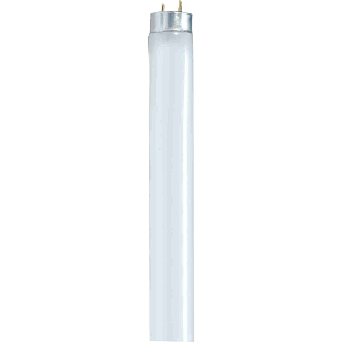 Neutral white T8 fluorescent tube light bulb with metal end caps for lighting and electrical applications
