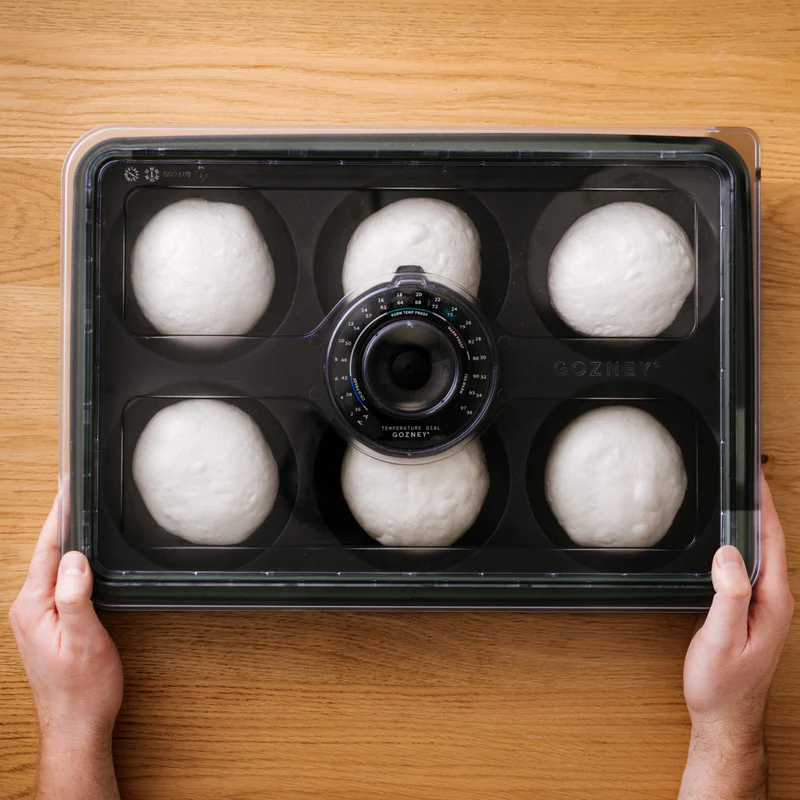 Black dough proofing box with temperature dial and six dough balls for outdoor living and grilling accessories collections