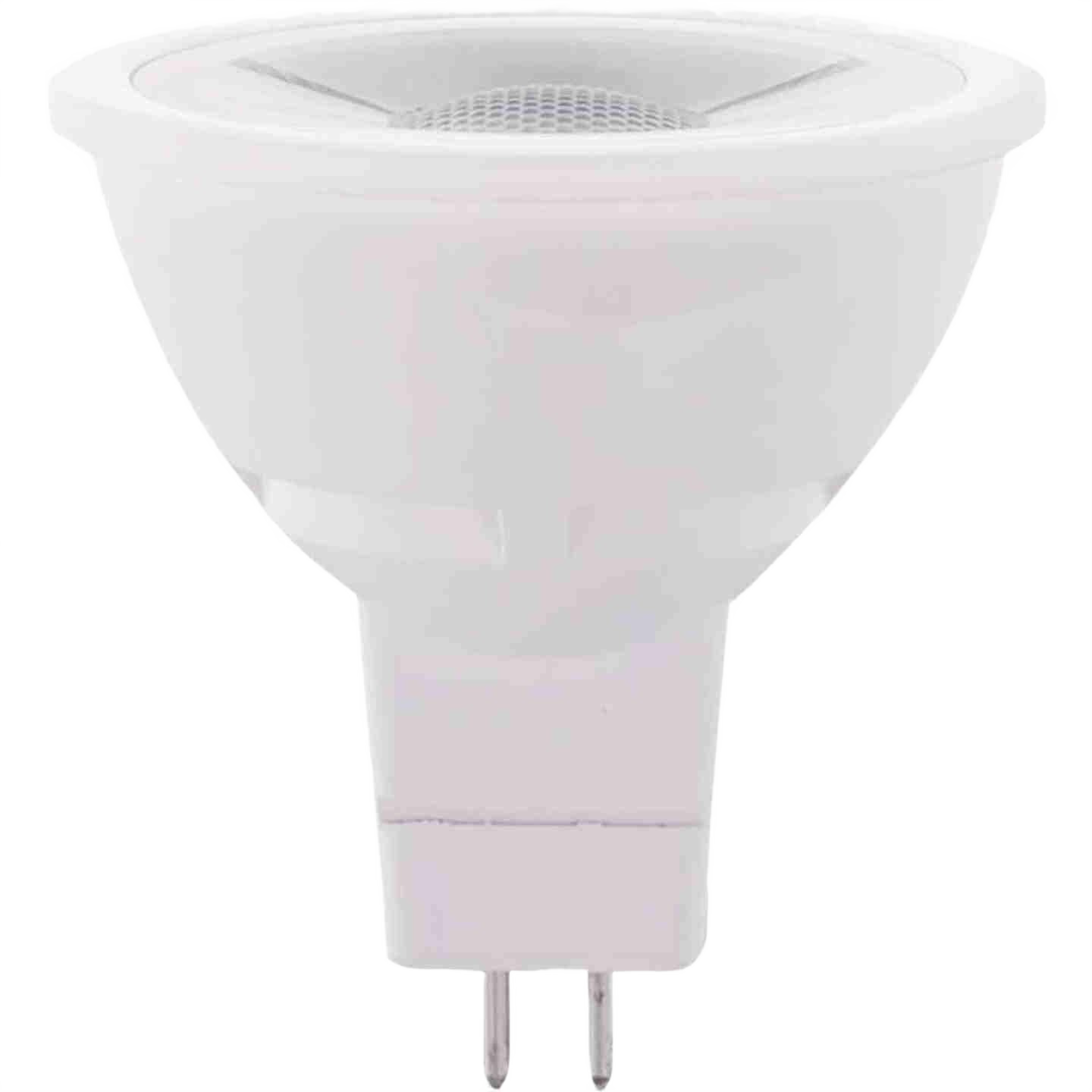 White LED floodlight bulb with two-pin base for lighting and electrical home improvement collections under $50