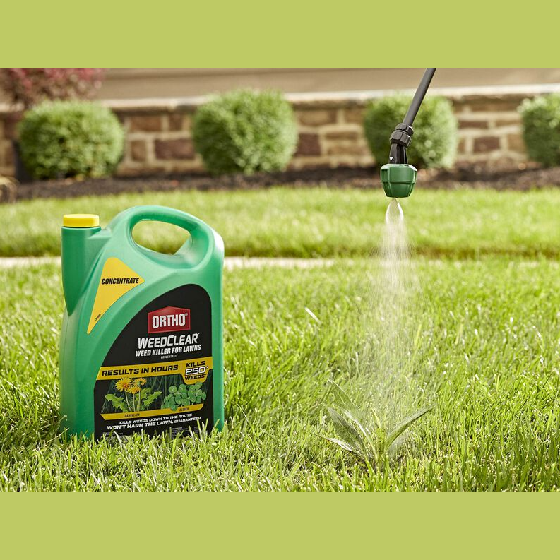 Green container of weed killer concentrate with sprayer nozzle applying liquid to weed on lawn for home improvement use
