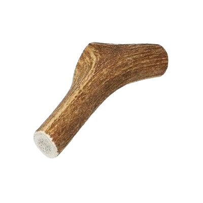 Medium natural elk antler dog chew treat with a smooth brown textured surface for pet dental health
